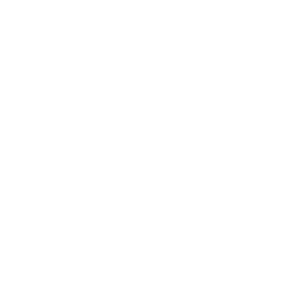 Icono 5