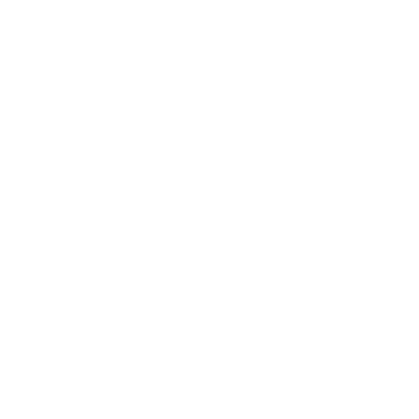 Icono 4